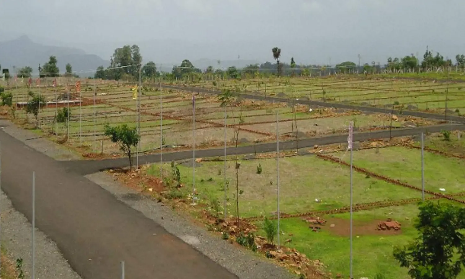 Garmet Crystal Spring Plot Garmet Crystal Spring Plot
