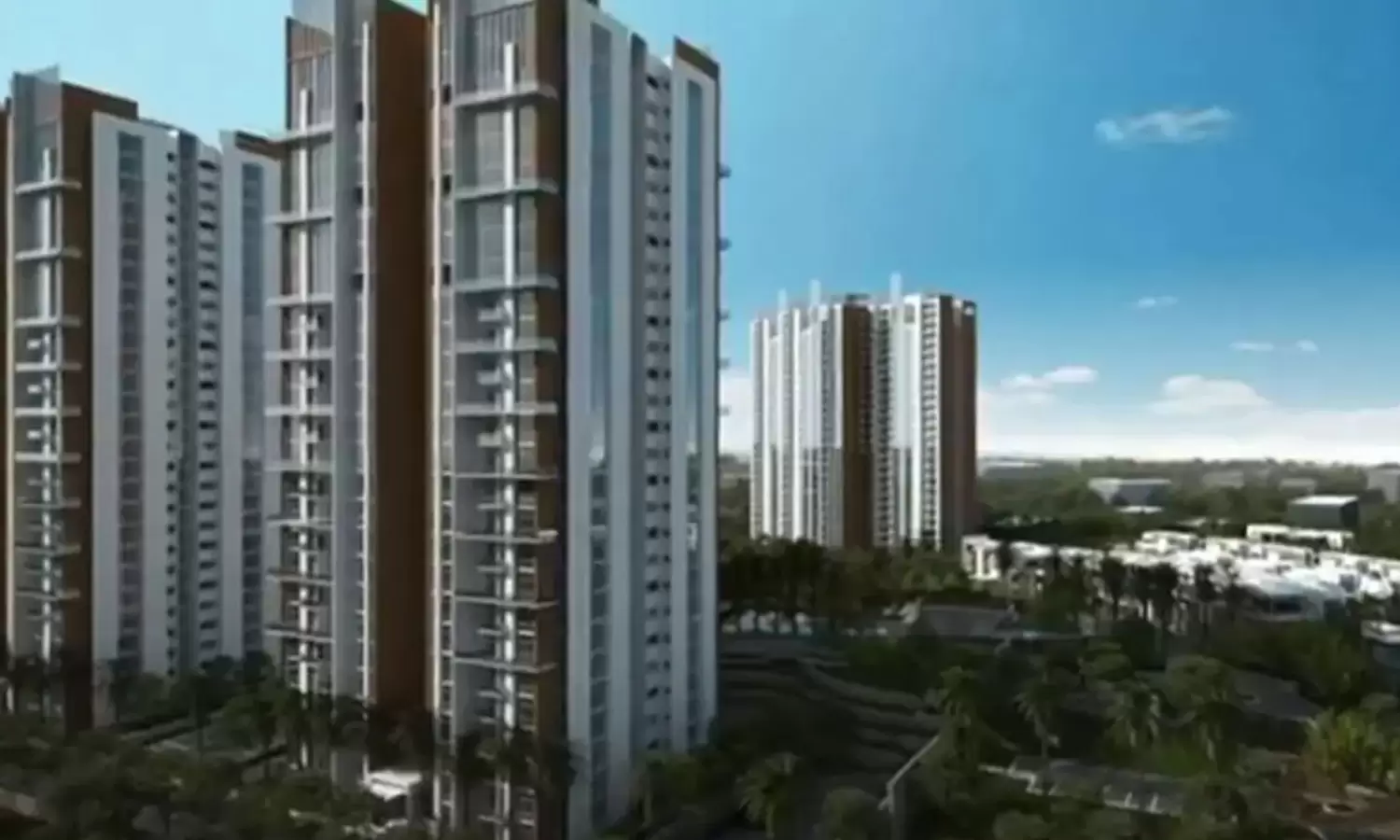 Prestige White Meadows Prestige White Meadows