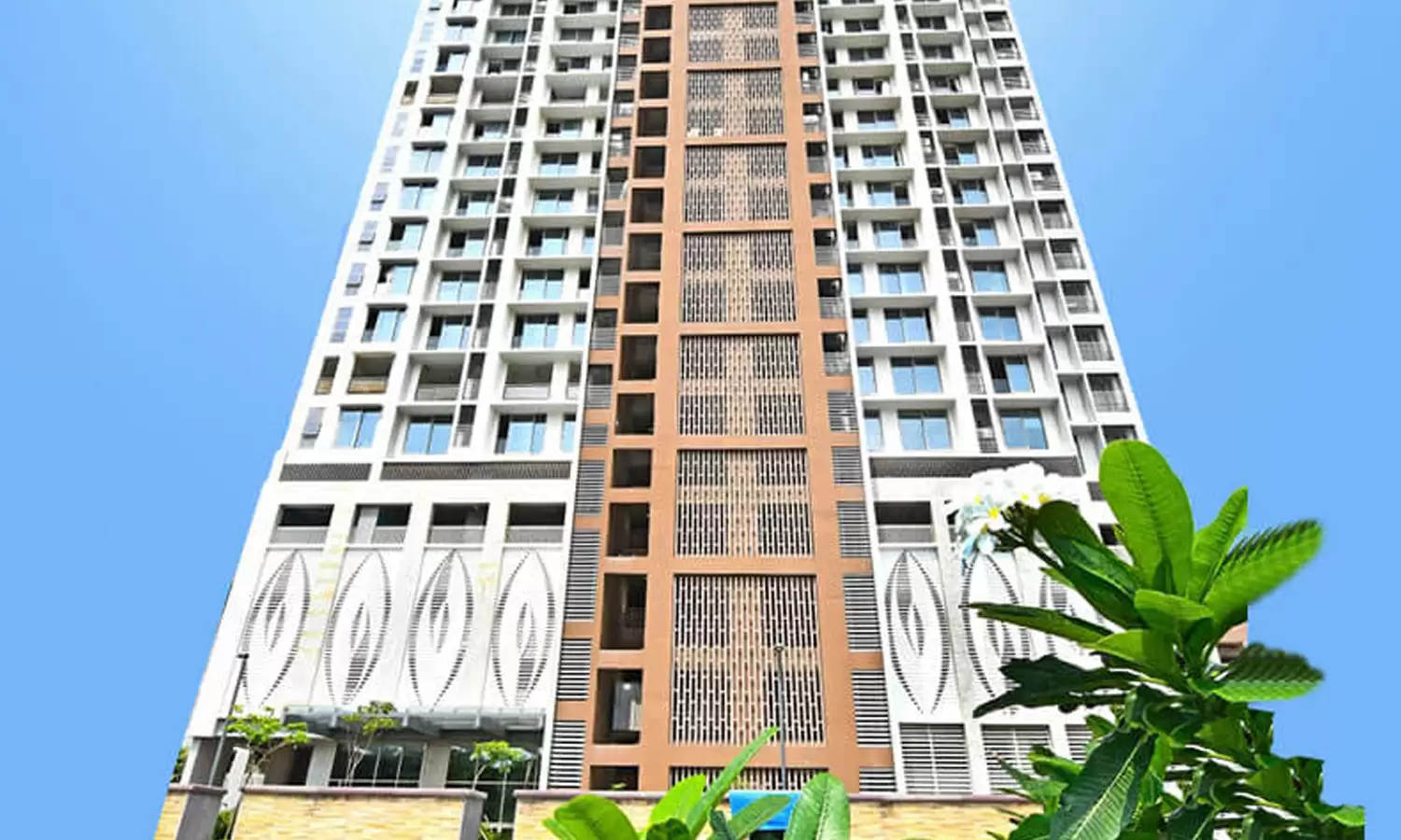The Wadhwa W54 The Wadhwa W54